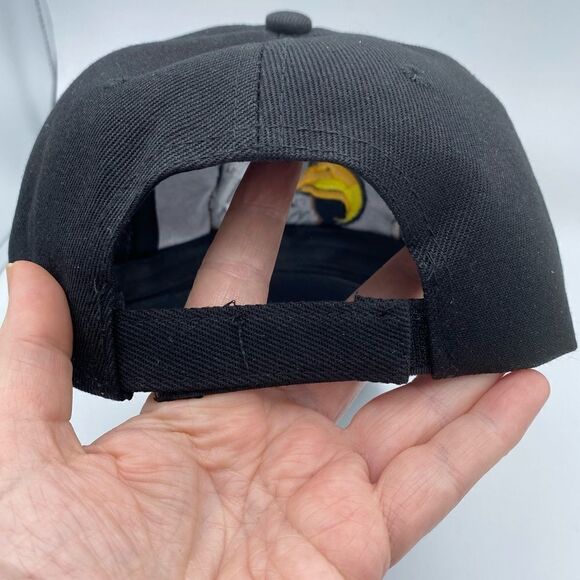 American Eagle Patriotic Baseball Cap By Amrita Singh - Picture 4 of 5